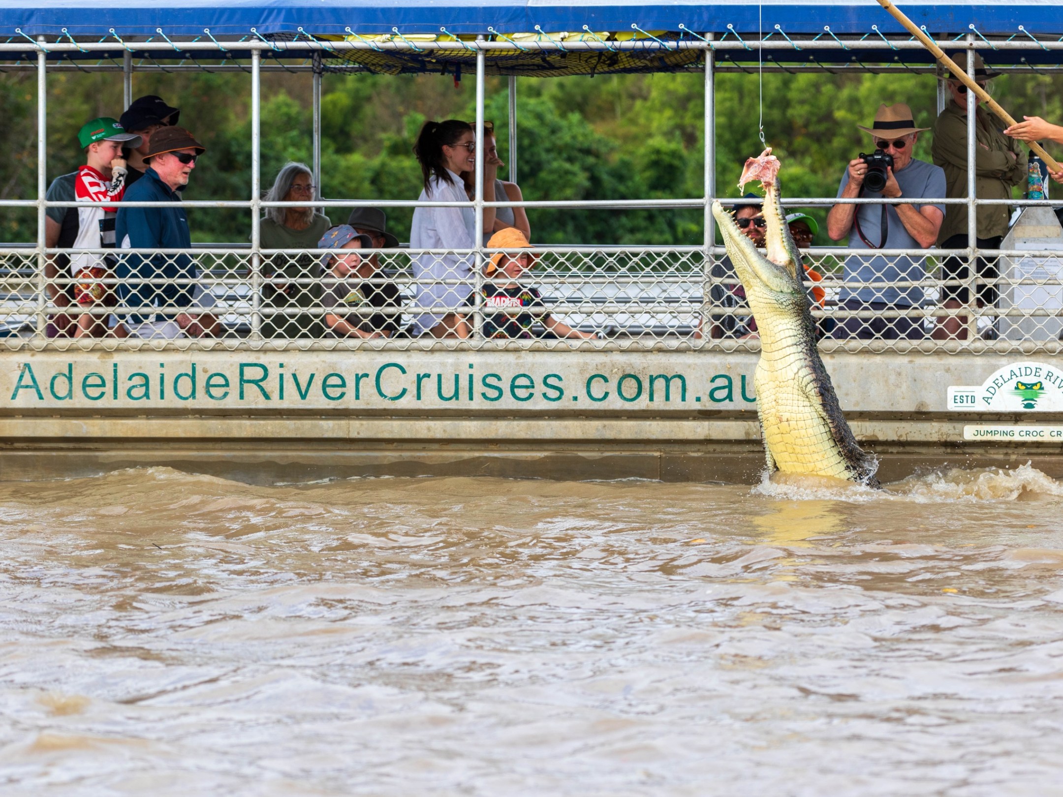Crocodile jumps for food near a river cruise boat with tourists watching, labeled 'Adelaide River Cruises'.