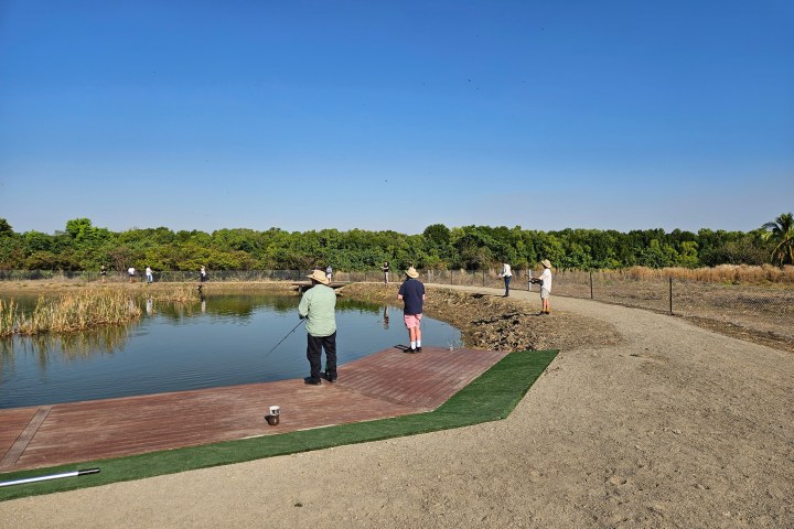 People fishing by a pond surrounded by greenery and a clear blue sky.